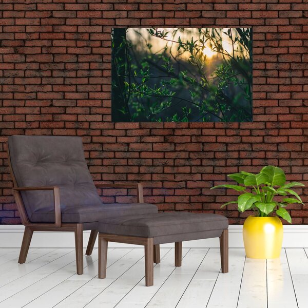 Slika sunca koje sja kroz grančice drveća (90x60 cm)