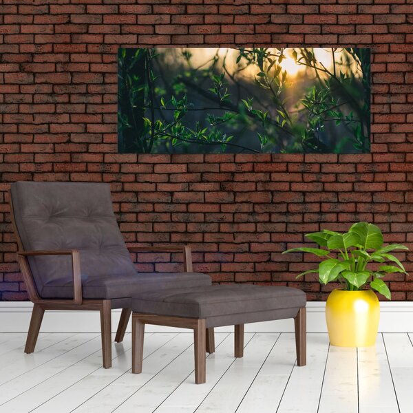 Slika sunca koje sja kroz grančice drveća (120x50 cm)