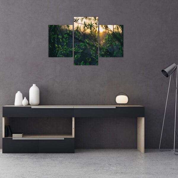 Slika sunca koje sja kroz grančice drveća (90x60 cm)