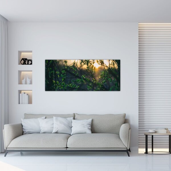 Slika sunca koje sja kroz grančice drveća (120x50 cm)