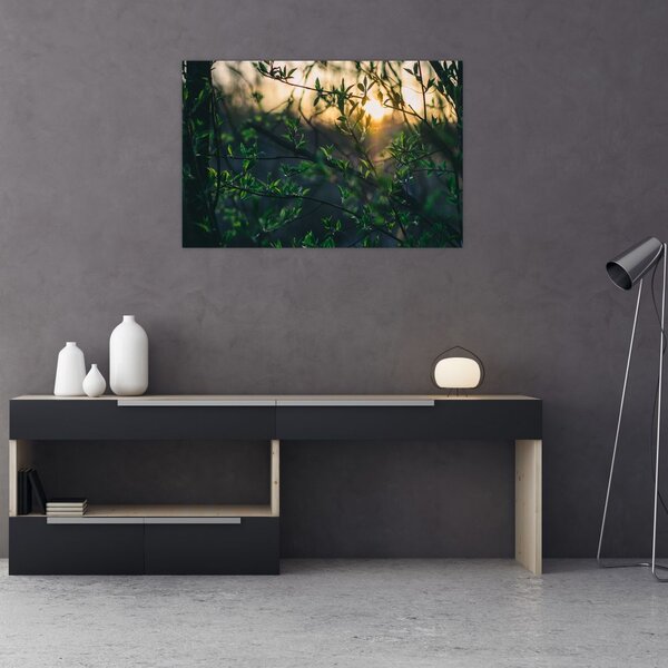 Slika sunca koje sja kroz grančice drveća (90x60 cm)