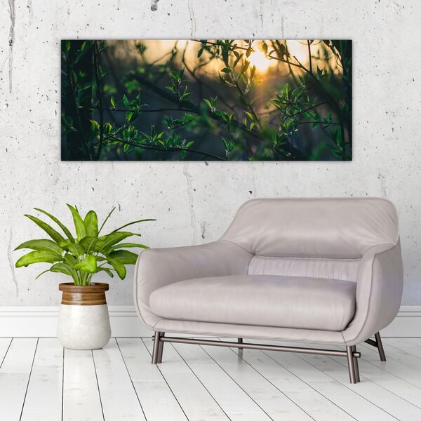 Slika sunca koje sja kroz grančice drveća (120x50 cm)