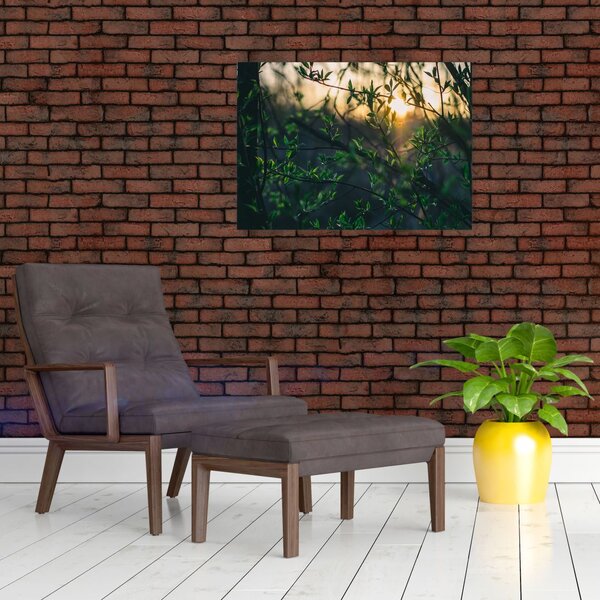 Slika sunca koje sja kroz grančice drveća (70x50 cm)