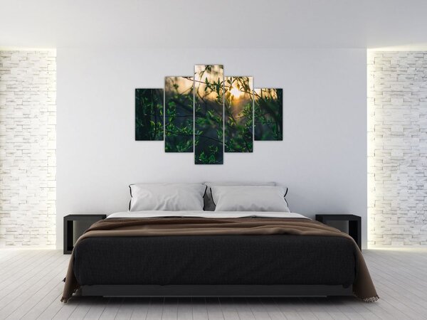 Slika sunca koje sja kroz grančice drveća (150x105 cm)