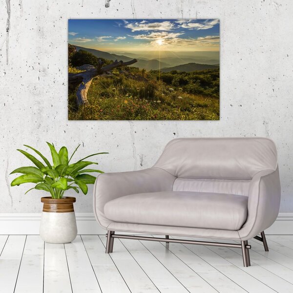 Slika - Pogled na okolicu (90x60 cm)
