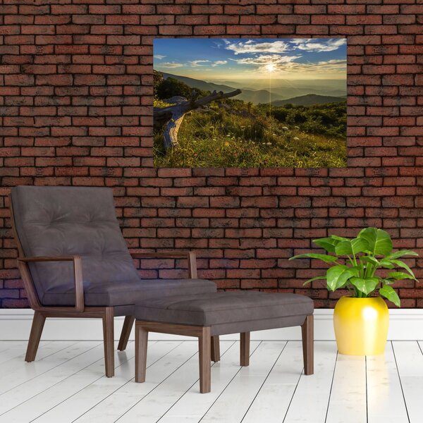 Slika - Pogled na okolicu (90x60 cm)