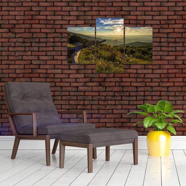 Slika - Pogled na okolicu (90x60 cm)