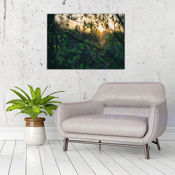 Slika sunca koje sja kroz grančice drveća (70x50 cm)