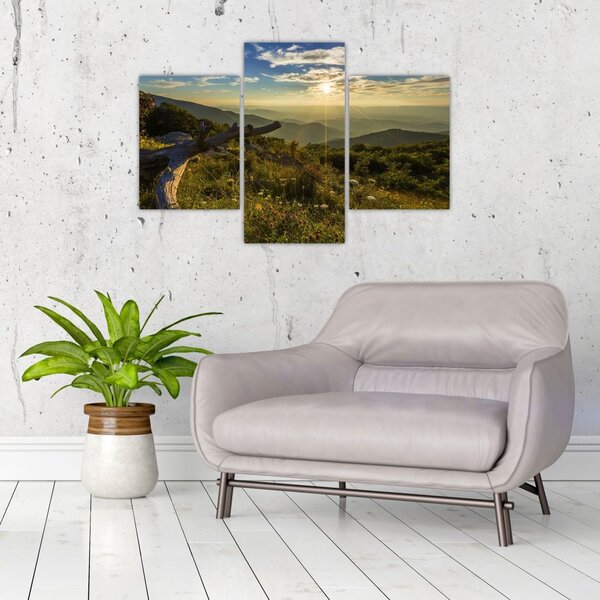 Slika - Pogled na okolicu (90x60 cm)