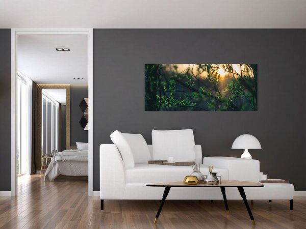 Slika sunca koje sja kroz grančice drveća (120x50 cm)