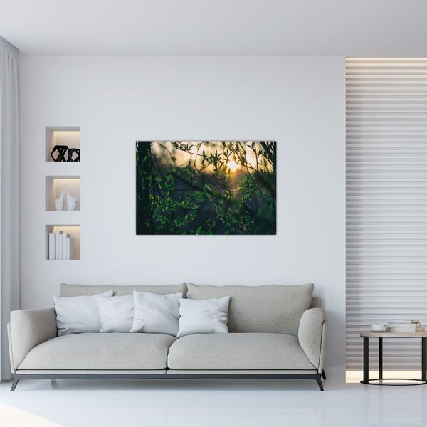 Slika sunca koje sja kroz grančice drveća (90x60 cm)