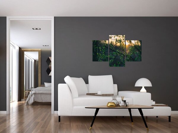 Slika sunca koje sja kroz grančice drveća (90x60 cm)