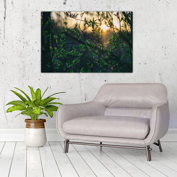 Slika sunca koje sja kroz grančice drveća (90x60 cm)