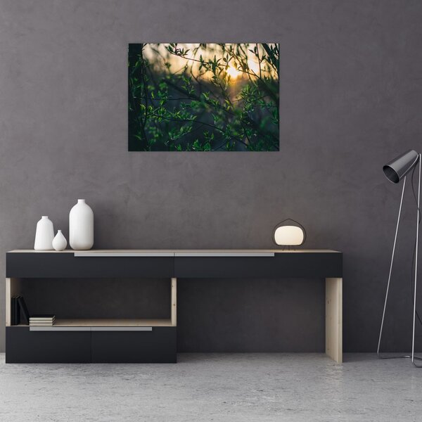Slika sunca koje sja kroz grančice drveća (70x50 cm)