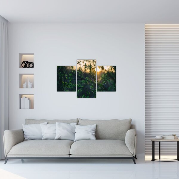 Slika sunca koje sja kroz grančice drveća (90x60 cm)