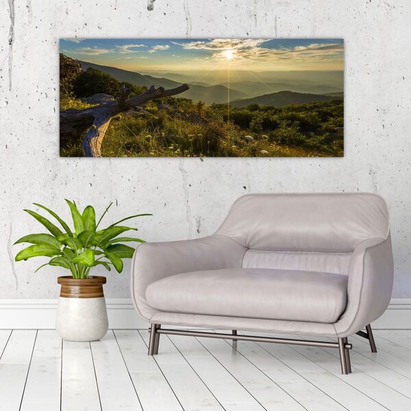 Slika - Pogled na okolicu (120x50 cm)