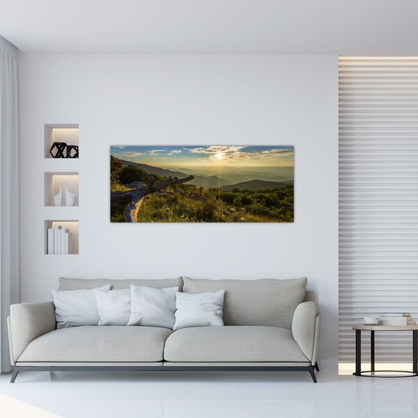 Slika - Pogled na okolicu (120x50 cm)