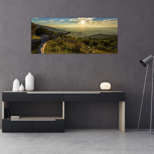Slika - Pogled na okolicu (120x50 cm)