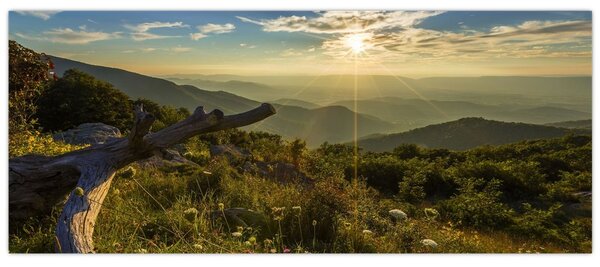 Slika - Pogled na okolicu (120x50 cm)
