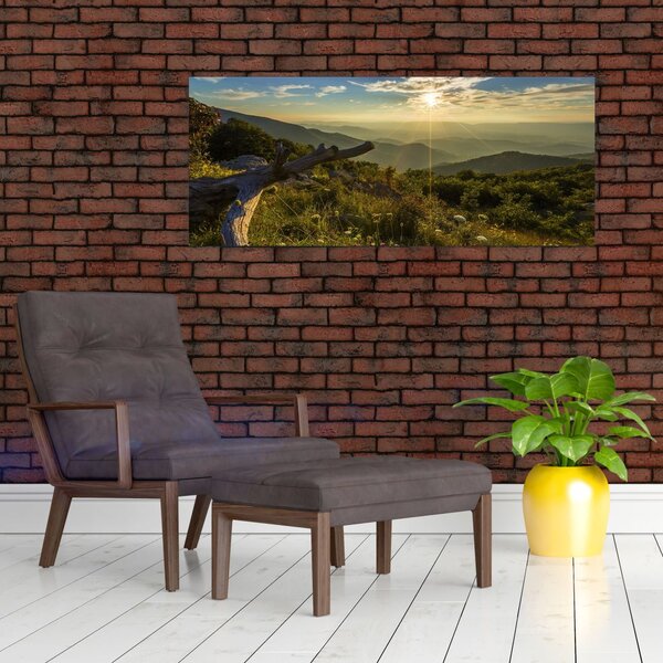 Slika - Pogled na okolicu (120x50 cm)