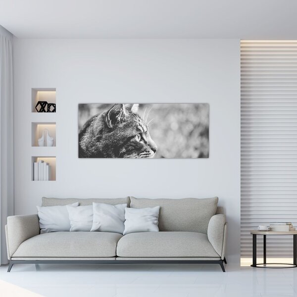 Slika - Mačka (120x50 cm)