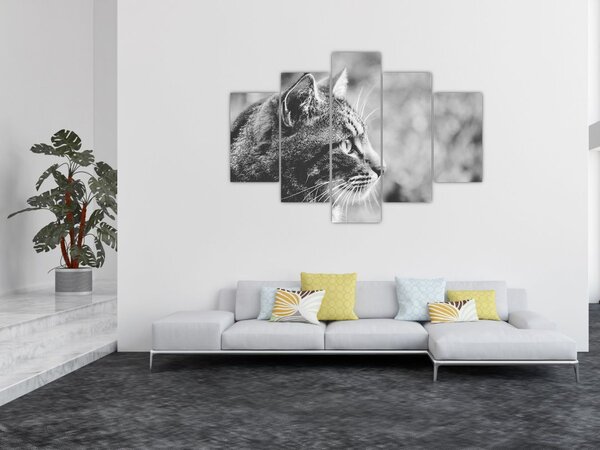 Slika - Mačka (150x105 cm)