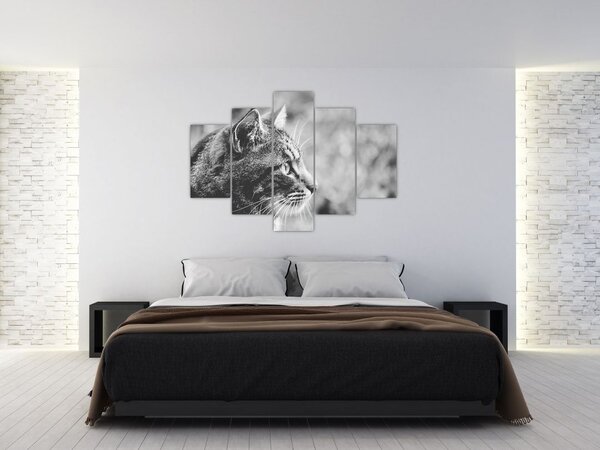 Slika - Mačka (150x105 cm)