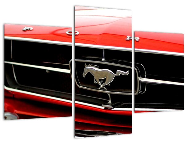 Slika - Detalj crvenog automobila (90x60 cm)
