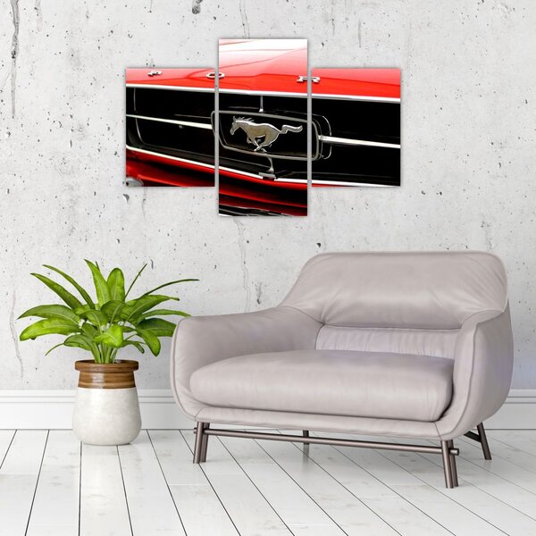 Slika - Detalj crvenog automobila (90x60 cm)