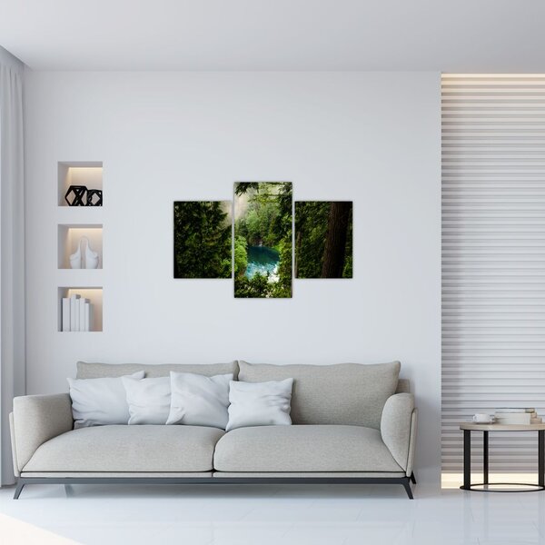 Slika - Pogled između stabala (90x60 cm)