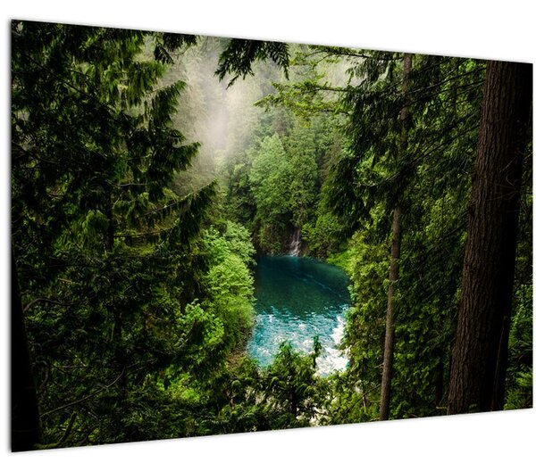 Slika - Pogled između stabala (90x60 cm)