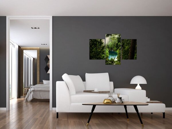 Slika - Pogled između stabala (90x60 cm)