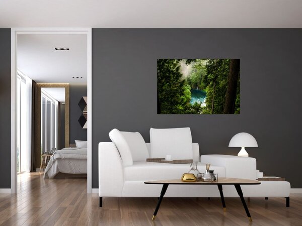 Slika - Pogled između stabala (90x60 cm)