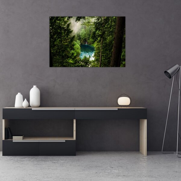 Slika - Pogled između stabala (90x60 cm)