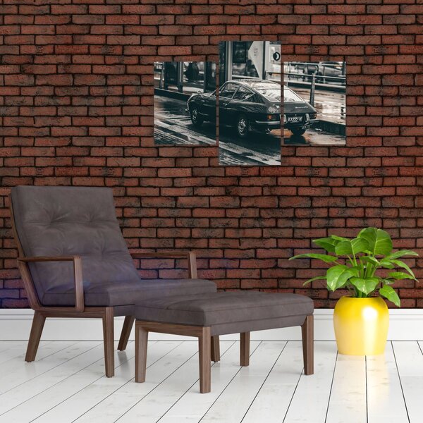 Slika automobila u pokretu (90x60 cm)