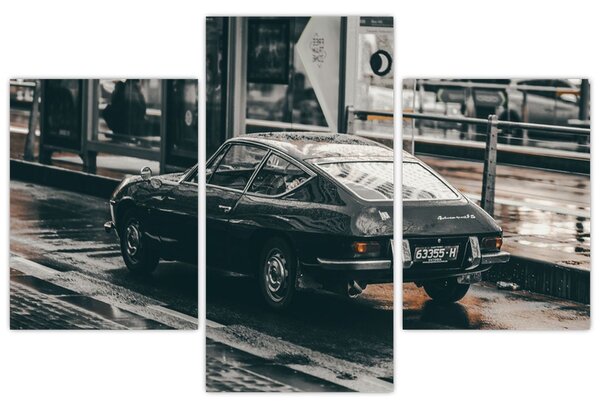 Slika automobila u pokretu (90x60 cm)