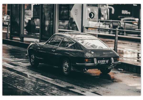 Slika automobila u pokretu (90x60 cm)