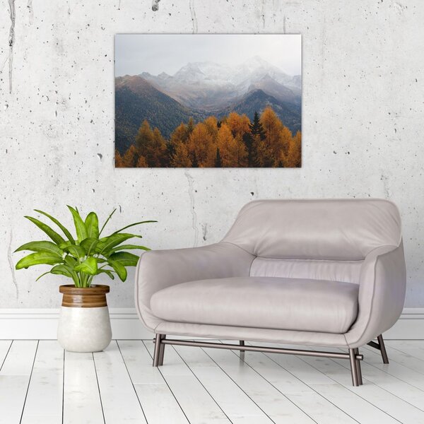 Slika - Pogled na planinske grebene (70x50 cm)