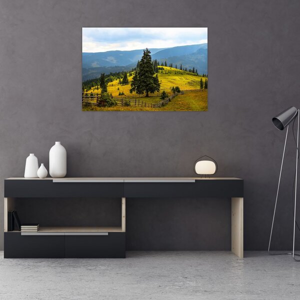 Slika - Planinska livada (90x60 cm)