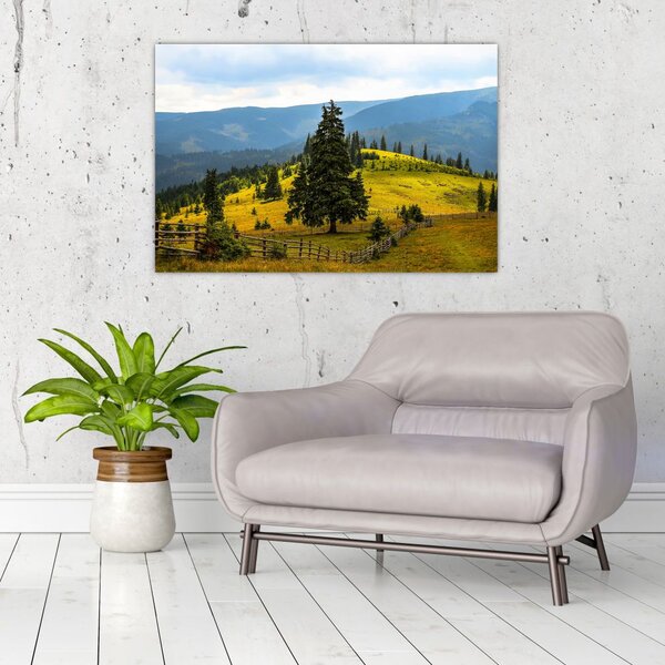 Slika - Planinska livada (90x60 cm)