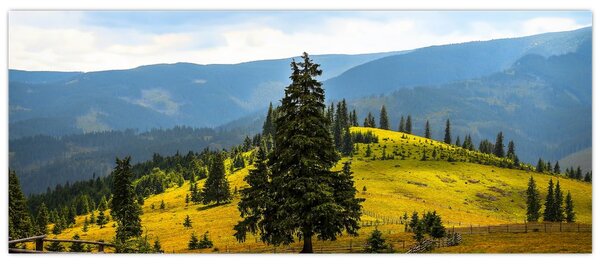 Slika - Planinska livada (120x50 cm)