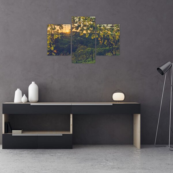 Slika - Vinograd (90x60 cm)