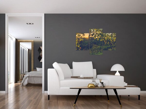Slika - Vinograd (90x60 cm)
