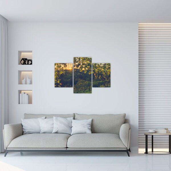 Slika - Vinograd (90x60 cm)
