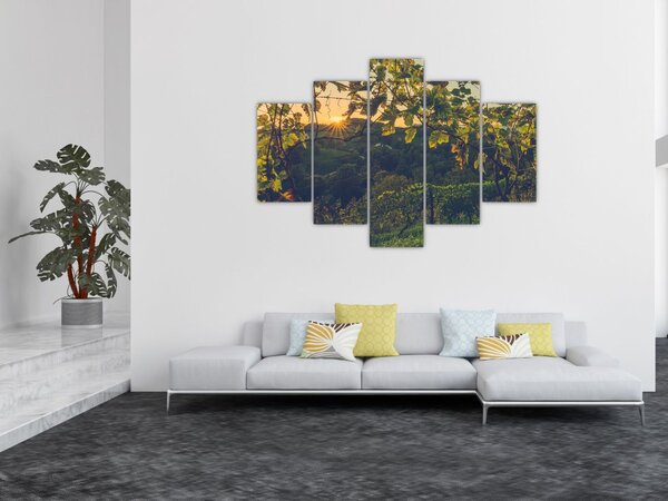 Slika - Vinograd (150x105 cm)