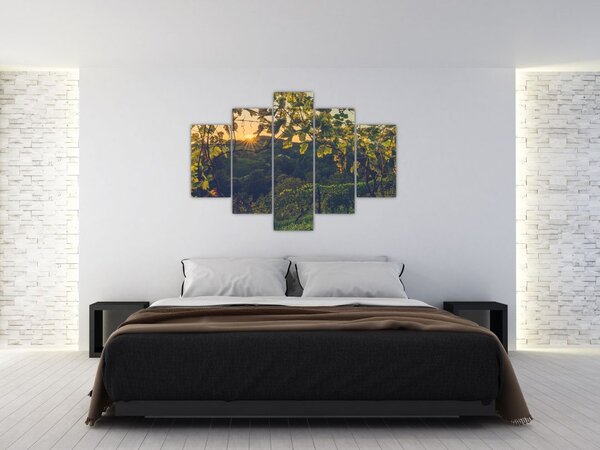 Slika - Vinograd (150x105 cm)