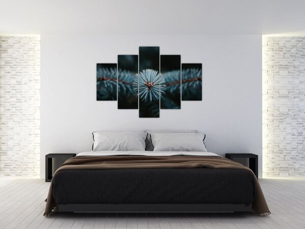 Slika grančice crnogoričnog drveta (150x105 cm)