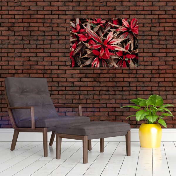 Slika crvenih latica (70x50 cm)