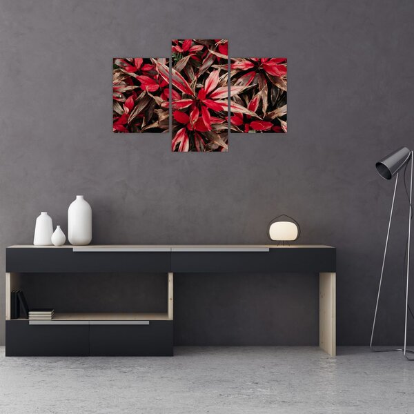 Slika crvenih latica (90x60 cm)