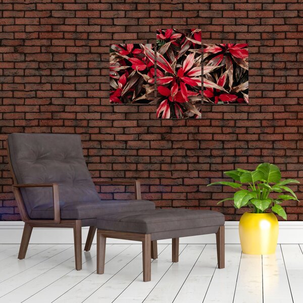 Slika crvenih latica (90x60 cm)